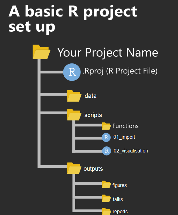 An example of a typical R project set-up